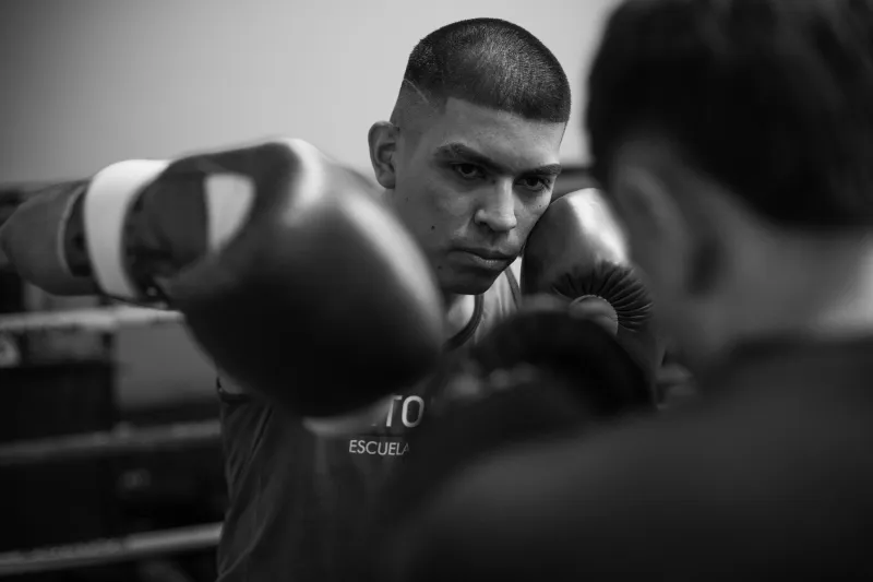 Faster Than Thought: Inside the Neuroscience of Why Certain Fighters See the Fight Before It Happens